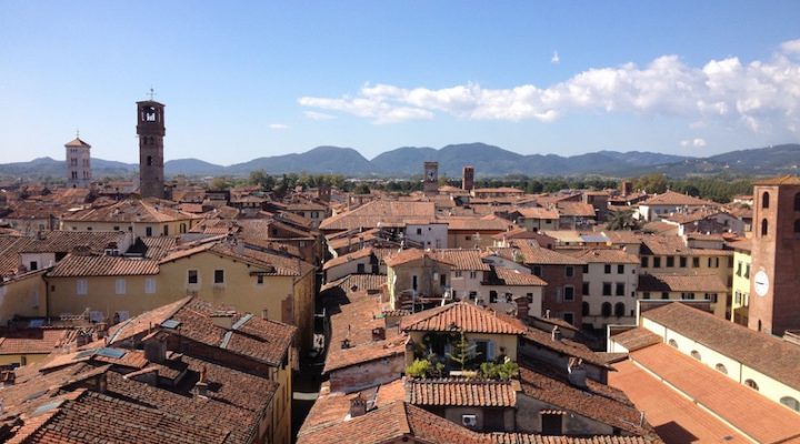 Vista su Lucca