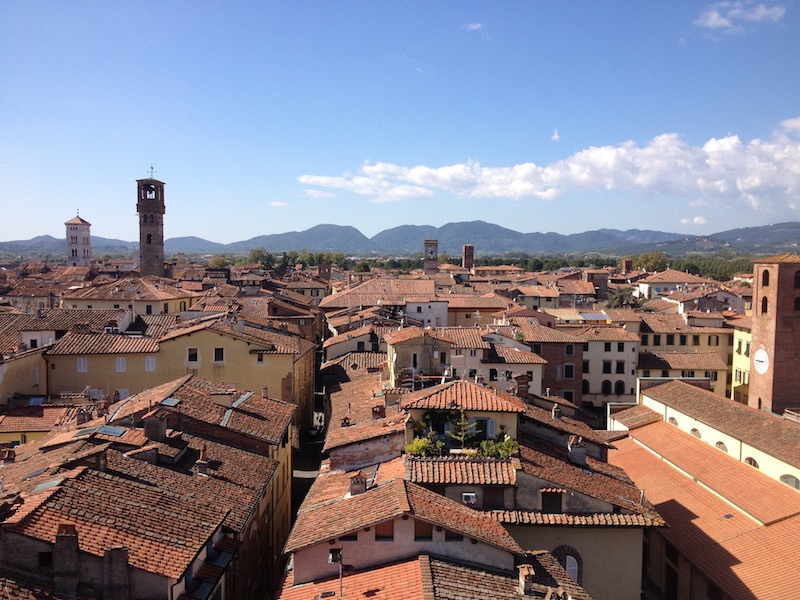 Vista su Lucca