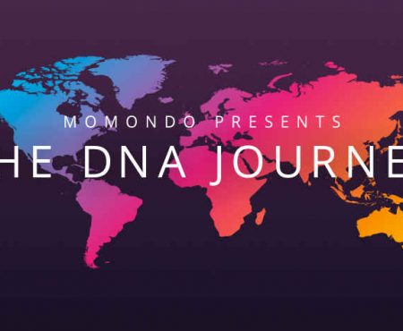 DNA Journey Momondo