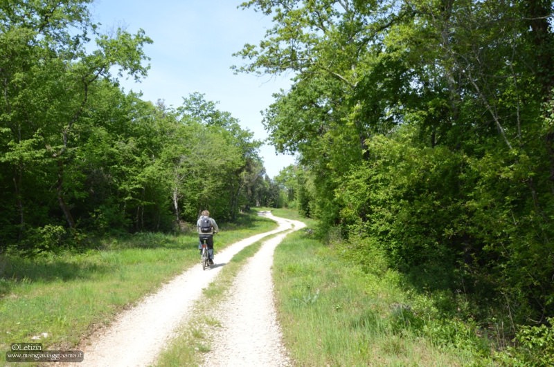 Istria in bicicletta