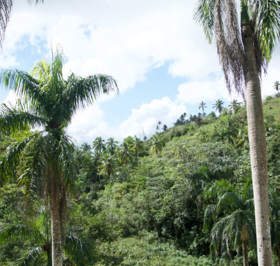 Repubblica Dominicana paesaggio