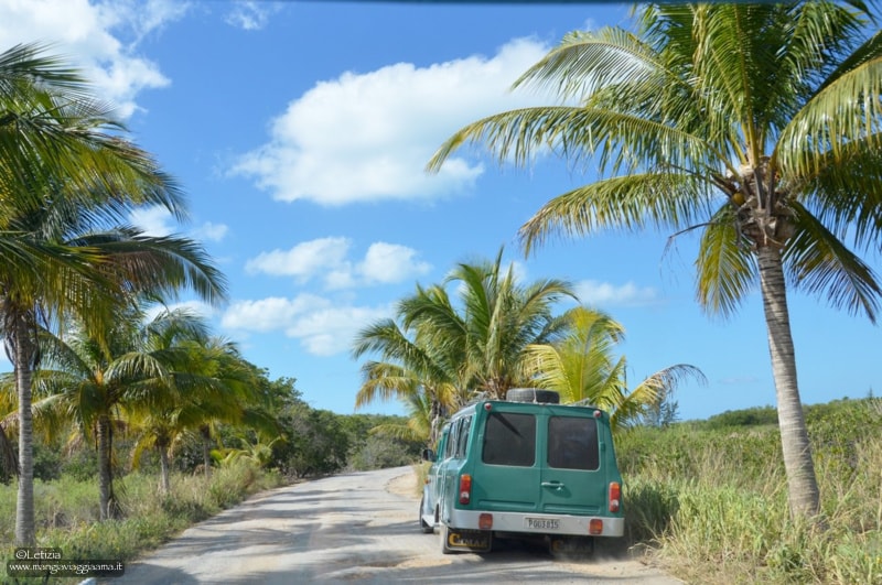 Escursione a Cayo Jutias Cuba strada per Cayo Jutias