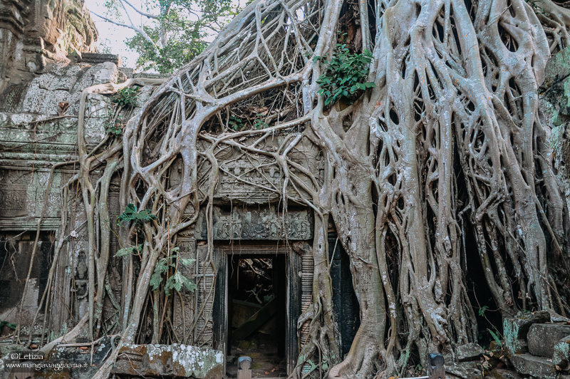 Quanti giorni Angkor
