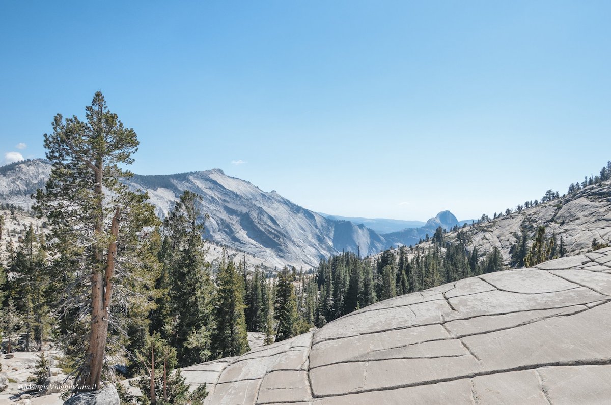 Parchi Stati Uniti Ovest: Yosemite NP
