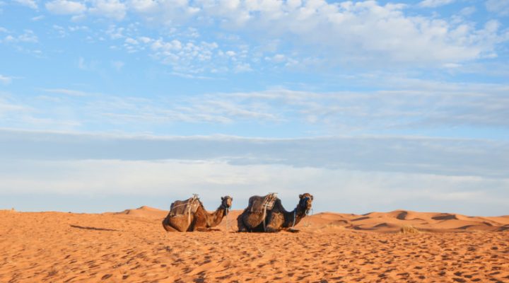 Merzouga deserto Marocco