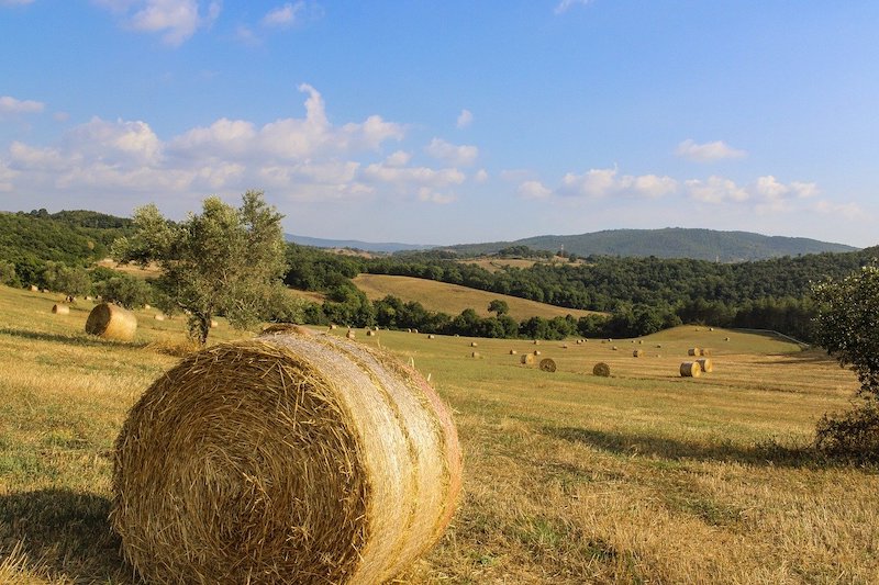 Toscana cosa vedere 7 giorni Toscana cosa vedere 7 giorni