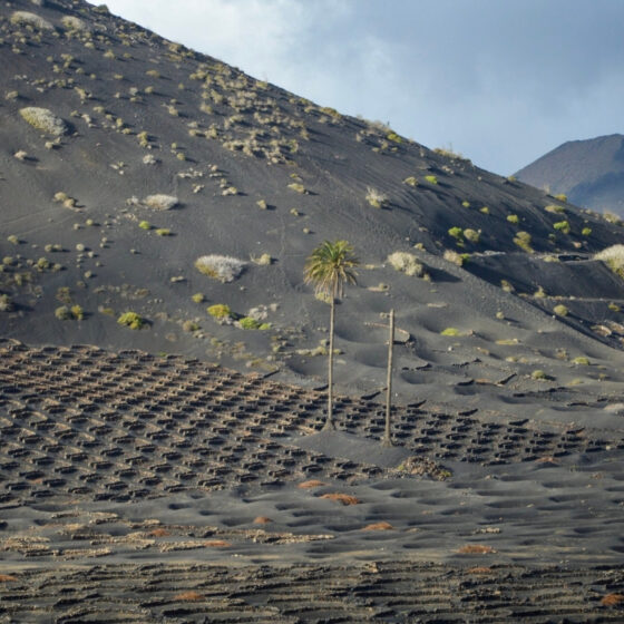 Cosa vedere a Lanzarote Canarie