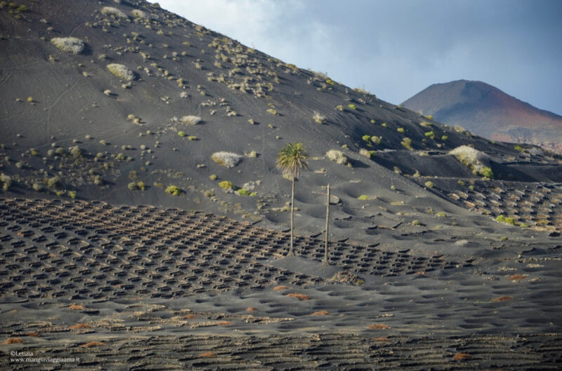 Cosa vedere a Lanzarote Canarie