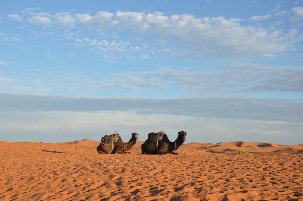escursione deserto Marocco