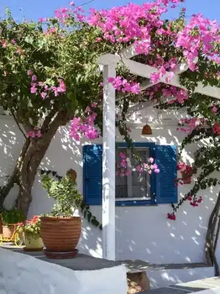 Apollonia isola di Sifnos