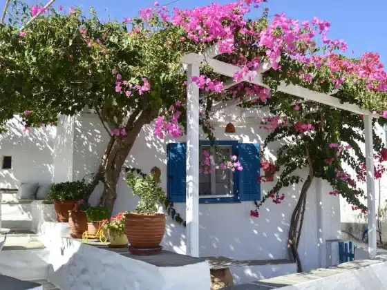 Apollonia isola di Sifnos