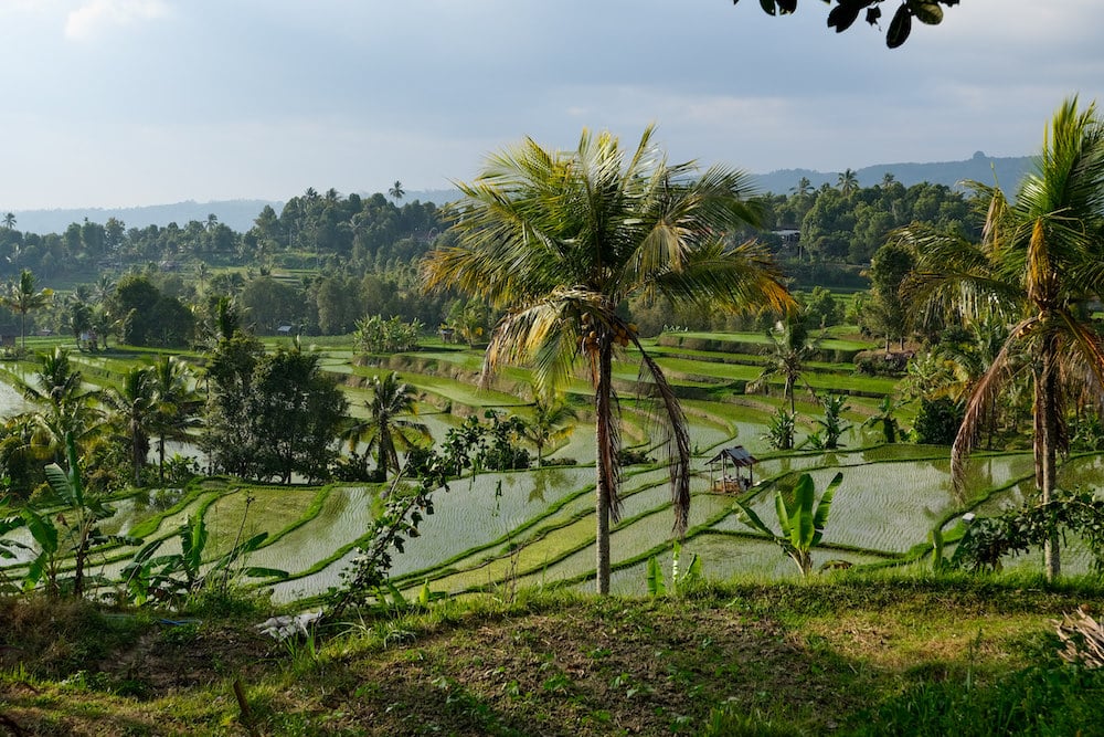 Bali Indonesia