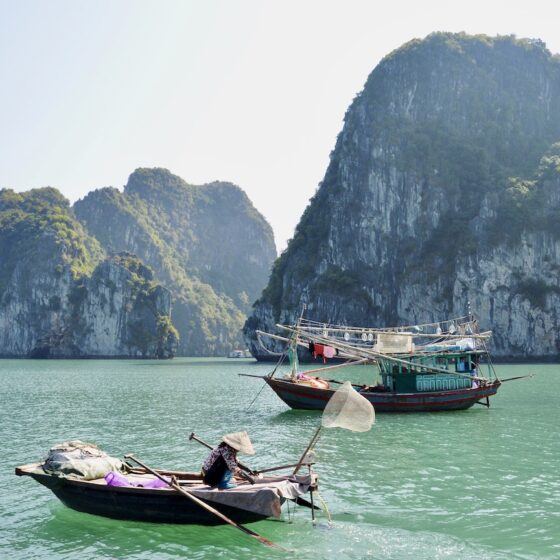 Guida baia di Halong cosa vedere