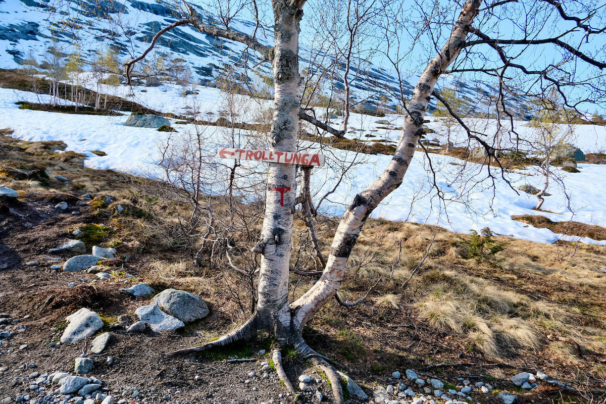 Trekking Trolltunga Norvegia