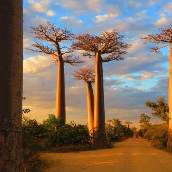 Viaggio in Madagascar