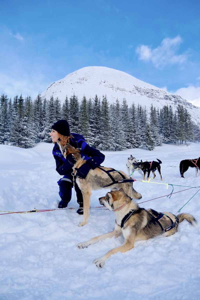Cosa fare a Tromso in inverno