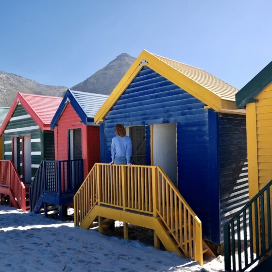 Cosa vedere Città del Capo, Sudafrica