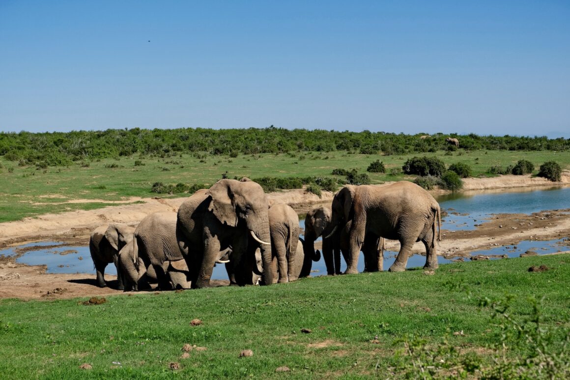 Itinerario di viaggio Sudafrica due settimane