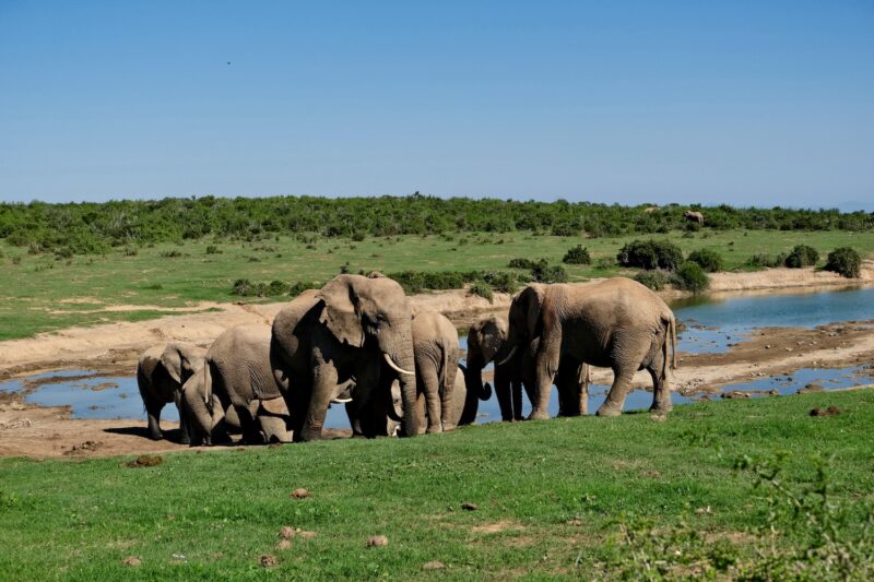 Itinerario di viaggio Sudafrica due settimane