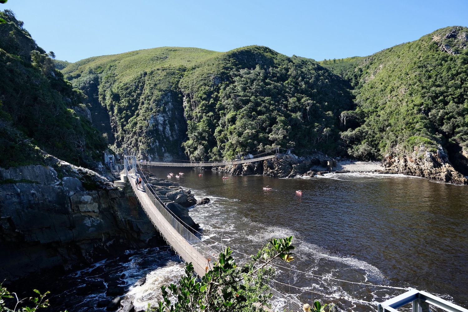 Tsitsikamma national park Sudafrica