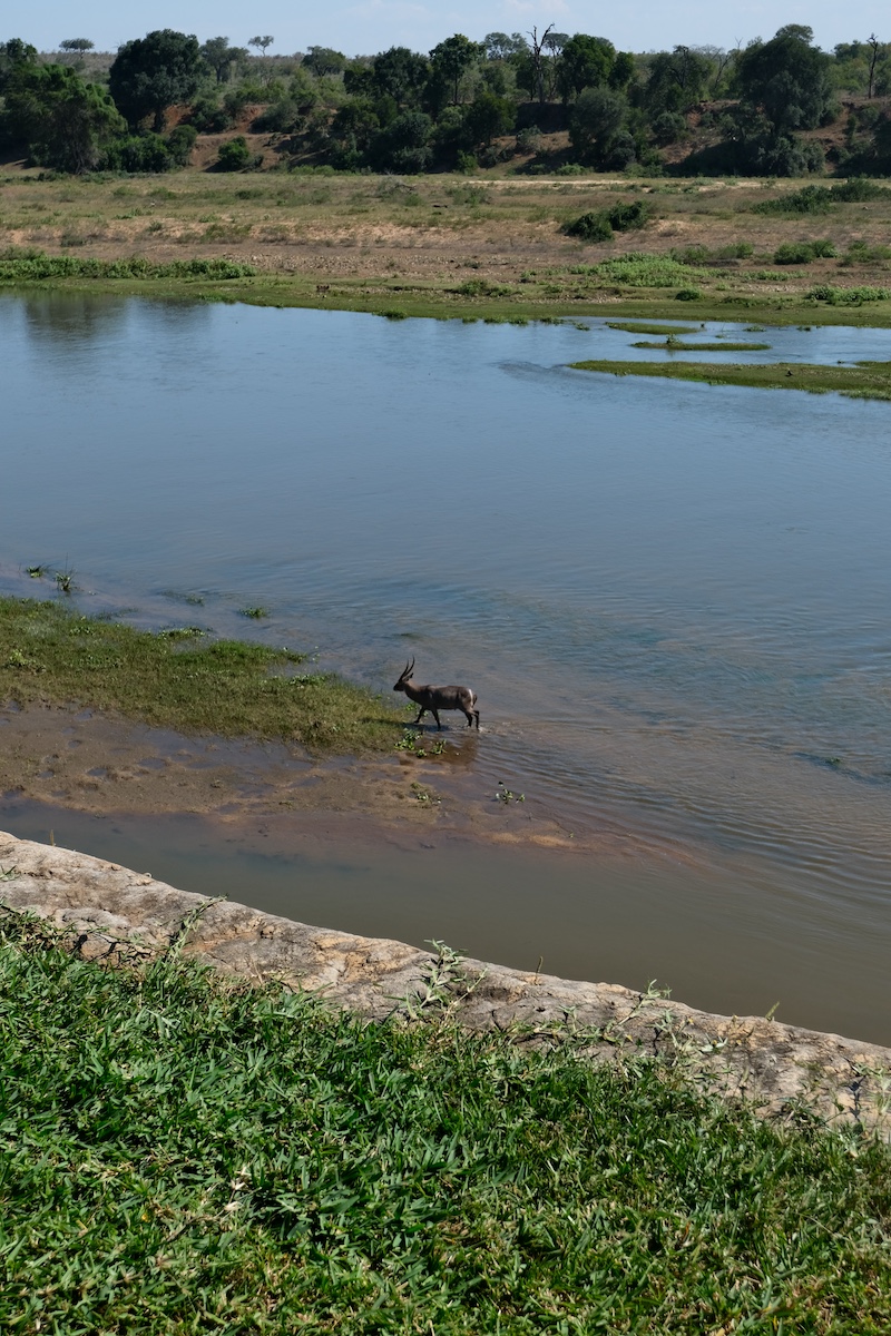 Dove dormire Marloth Park: Kruger Eden Lodge Crocodile River Marloth Park