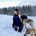 Tour cani da slitta Lapponia