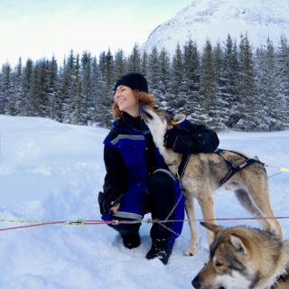 Tour cani da slitta Lapponia
