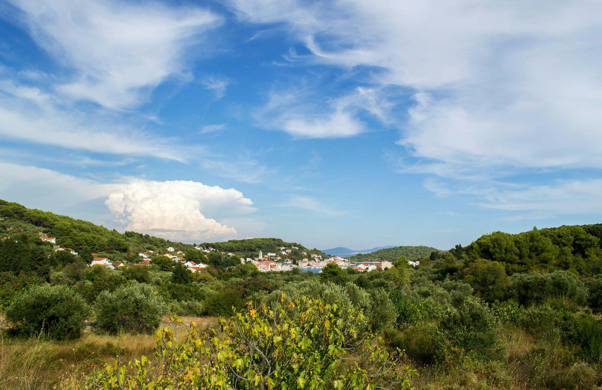 Isole della Dalmazia