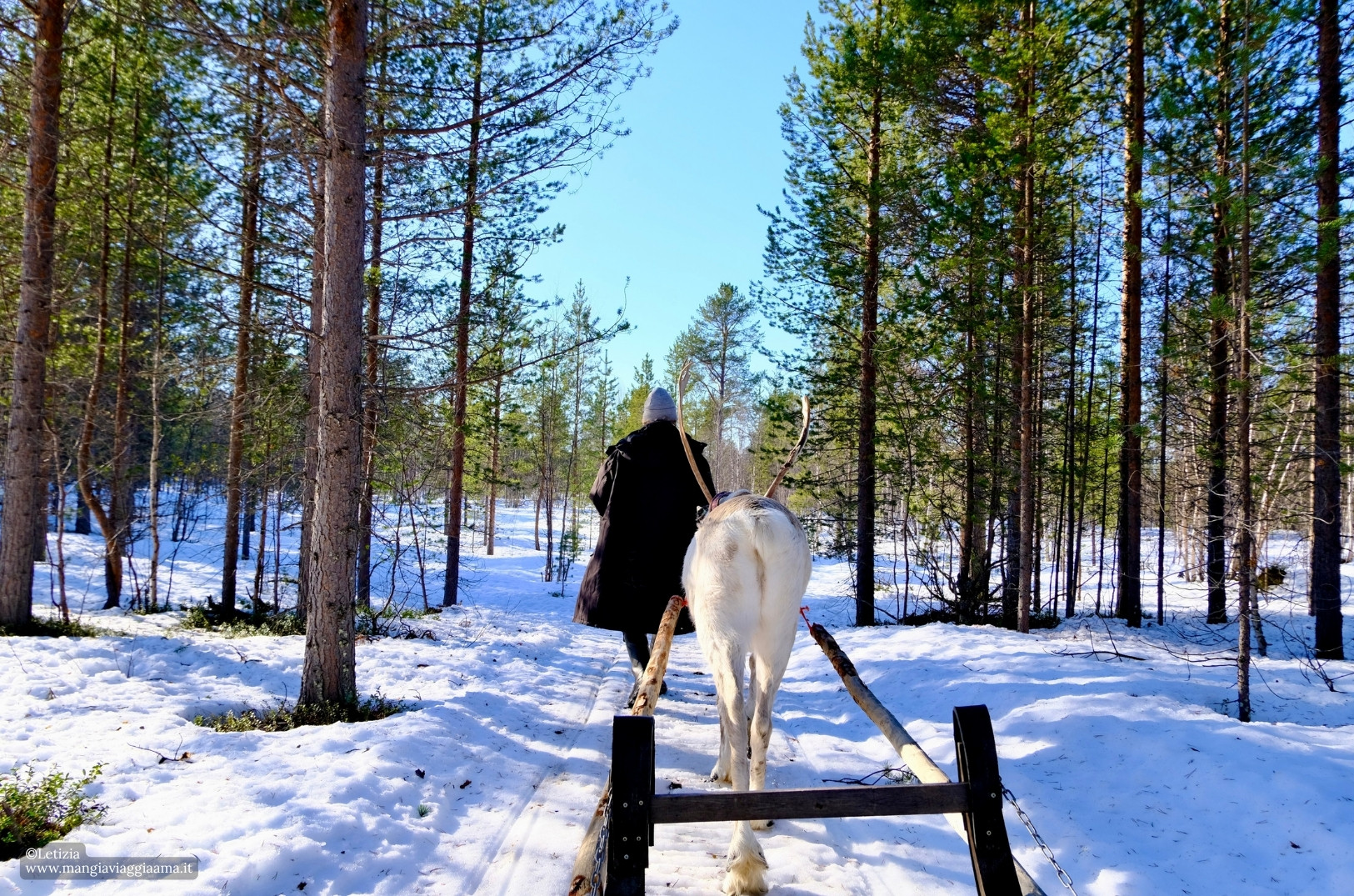 Viaggio in Lapponia finlandese in inverno Escursioni Inari, cosa fare Lapponia finlandese