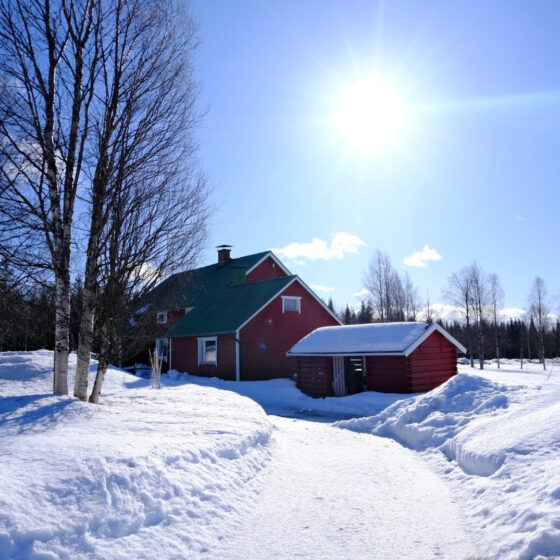 Lapponia finlandese inverno