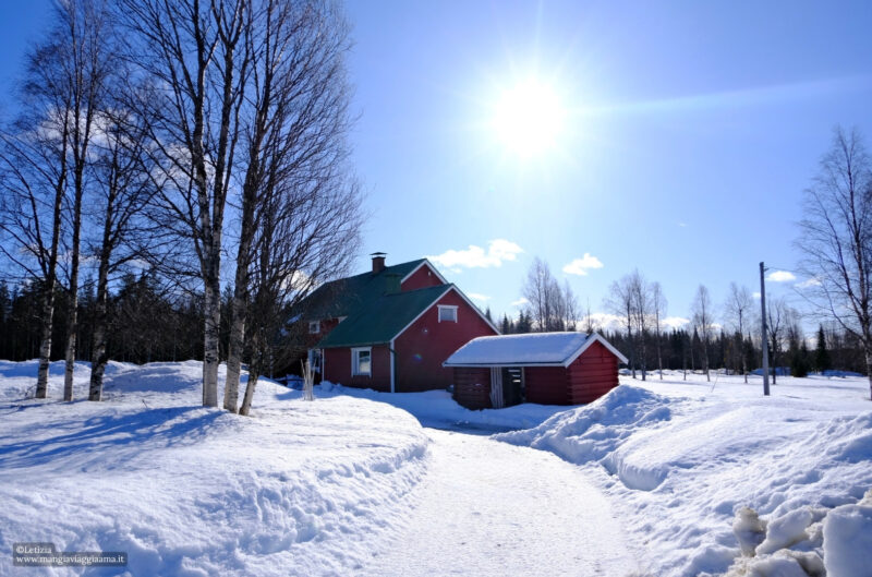 Lapponia finlandese inverno