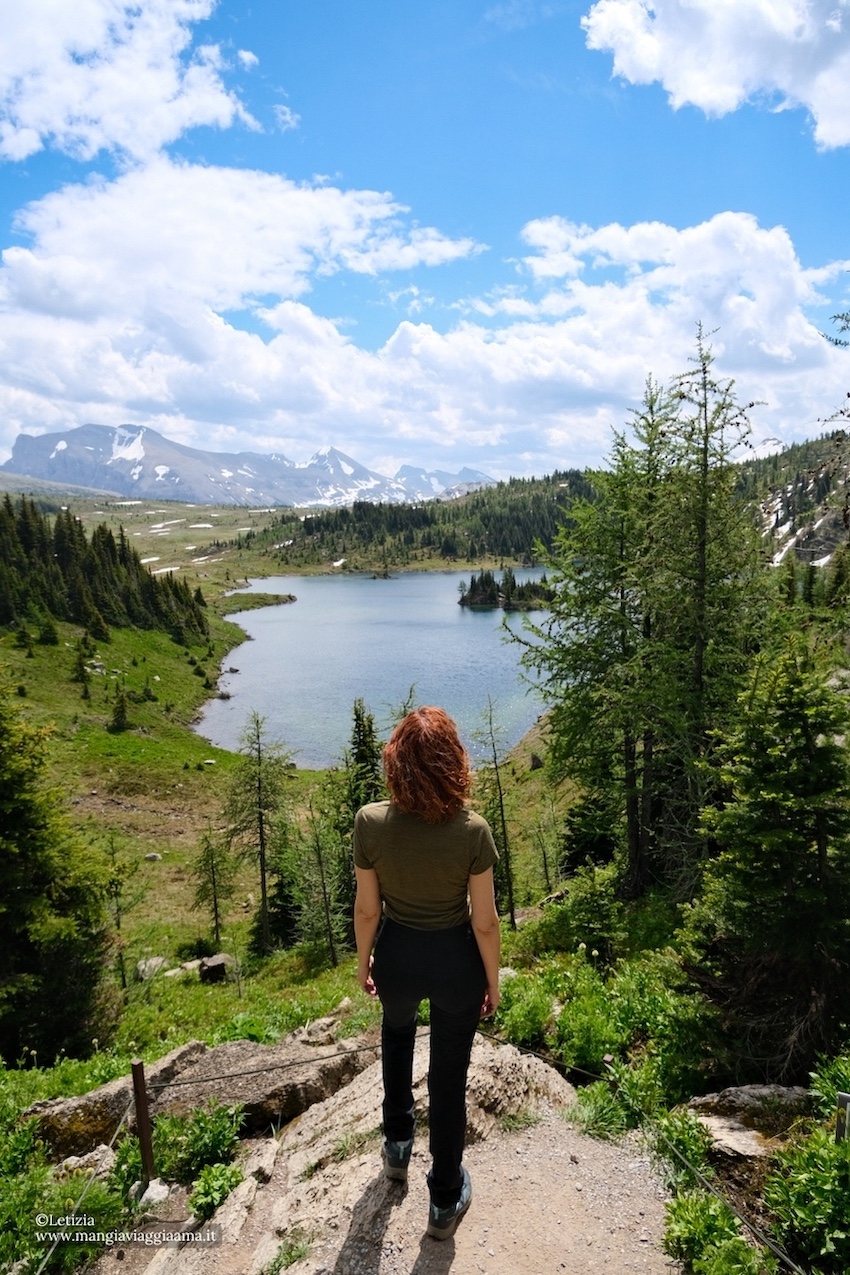 Cosa fare a Banff, trekking a Sunshine Meadows