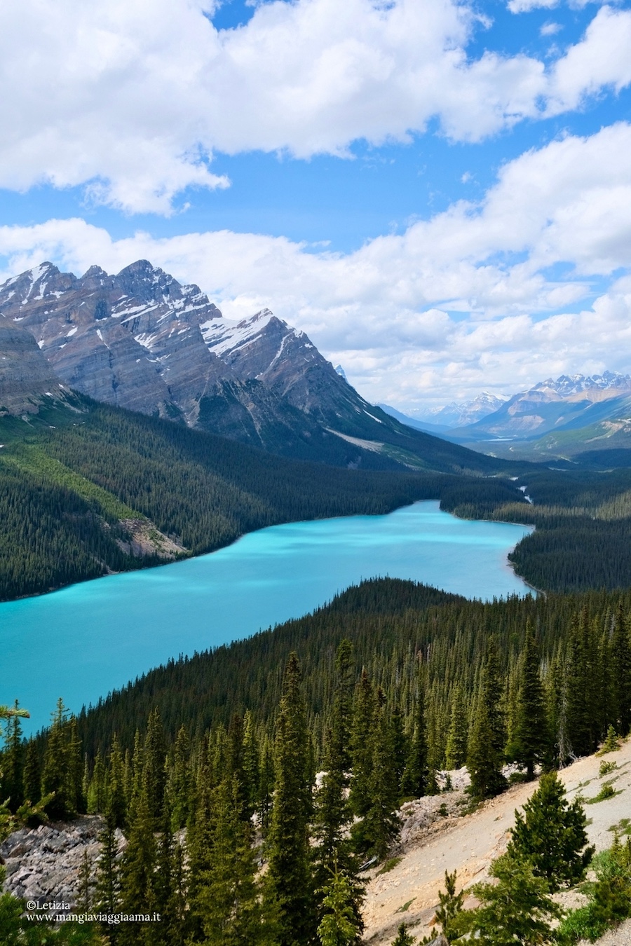 Peyto Lake, Montagne Rocciose Canadesi